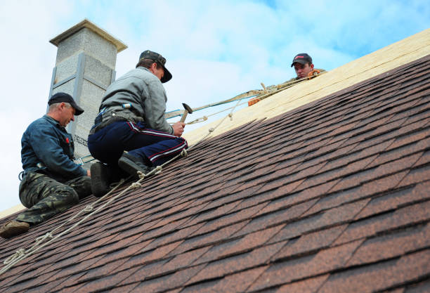 Best Gutter Installation and Roofing  in Goodman, MO