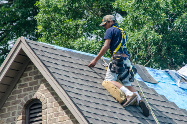 Best New Roof Installation  in Goodman, MO